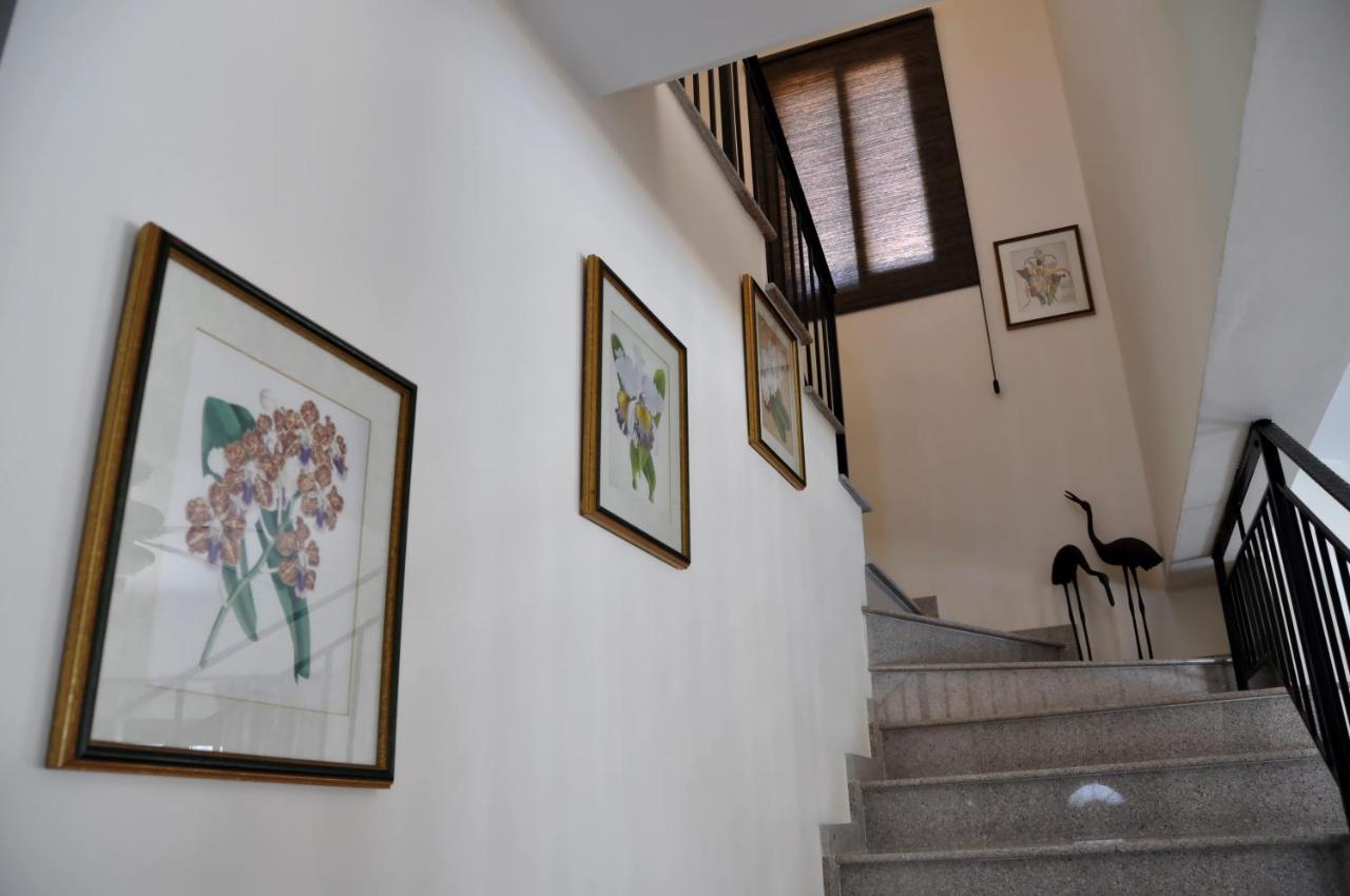 Villa Zefyros Нео-Коріо Екстер'єр фото